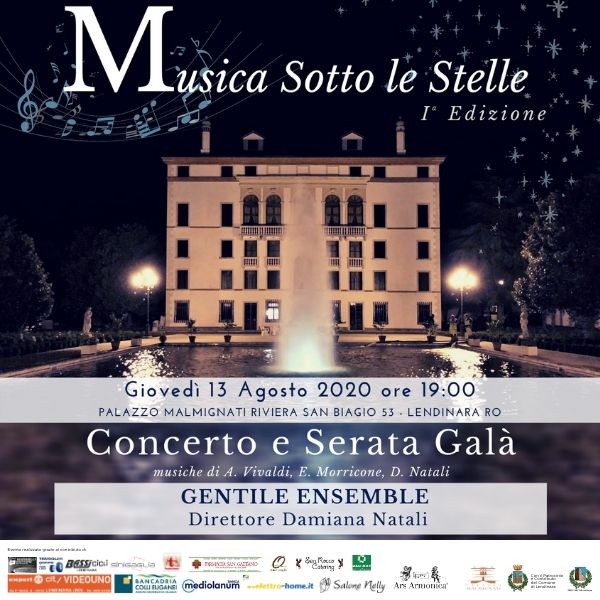 Musica Sotto le Stelle - I° Edizione