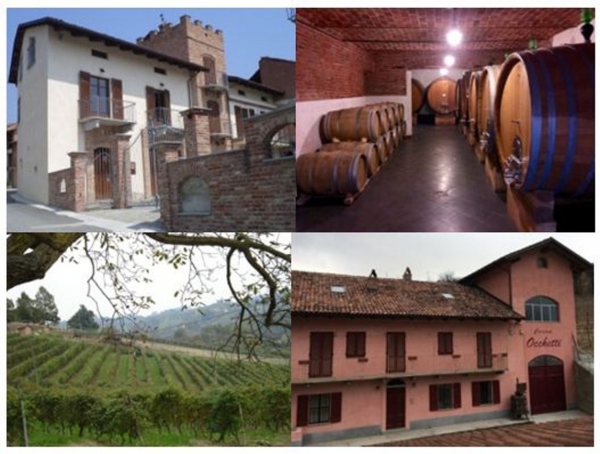 PODERI MORETTI cantina aperta al sabato e alla domenica per visita guidata e degustazione pregiati vini di Alba Langhe e Roero 2022